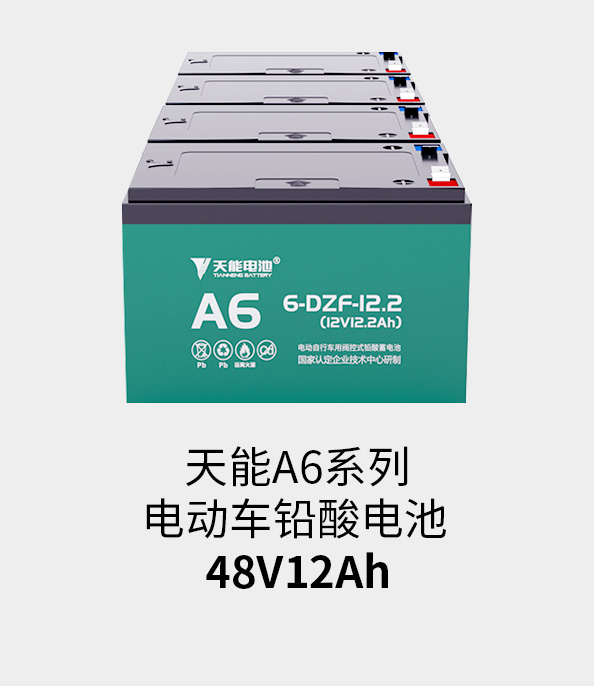 伟易博电池48v12ah