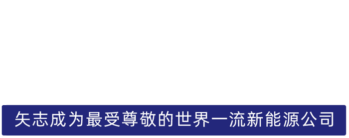 伟易博股份